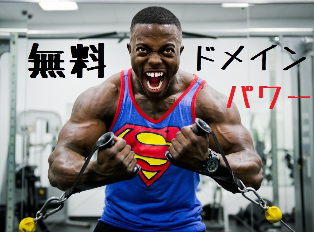 無料ブログのドメインパワーが2年間ほったらかしたのに強化されてた 財後八郎